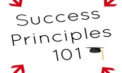 success principles 101